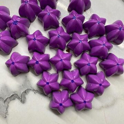 746 | Форма для шоколадных конфет "Физалис" (275*175 мм)