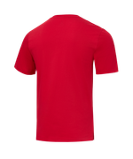 Футболка тренировочная JÖGEL DIVISION PerFormDRY Training CVC R2, красный
