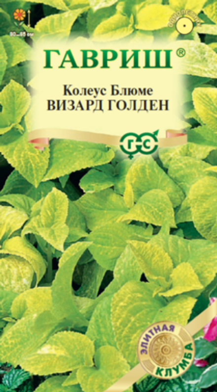 Колеус Визард Голден Элитная клумба 4 шт (Гавриш)