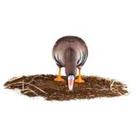 Комплект чучел Белолобый (10шт) S-XPE B622-3D "North Way"