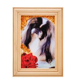 AMB-56/24 Картина «Пекинес» (с янтарной крошкой) дер.рамка 8х12