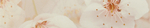 Сакура кор бордюр 01 400х75 (1-й сорт)