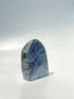 Срез Лабрадора M