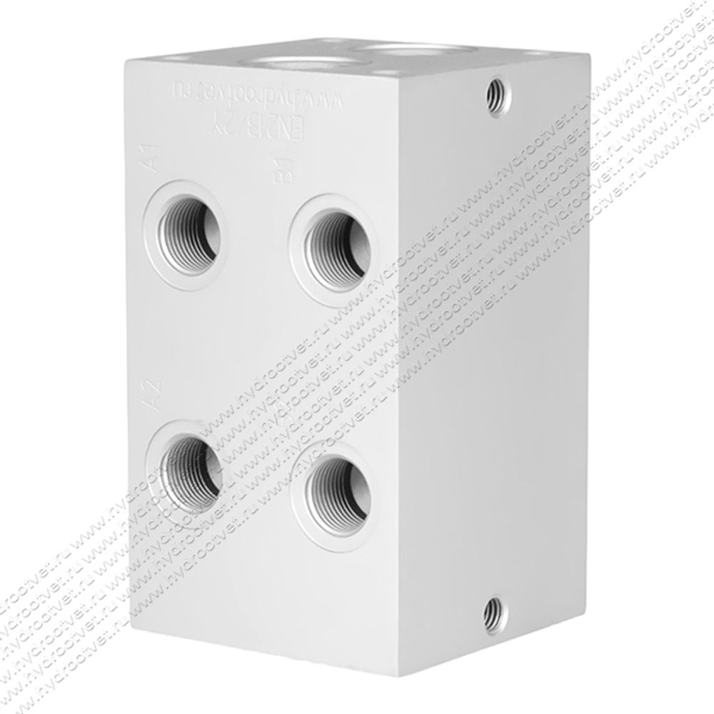 EM213/2Y - Двухместная присоединительная плита для гидравлических распределителей и клапанов NG6 (аналог DR06/20)