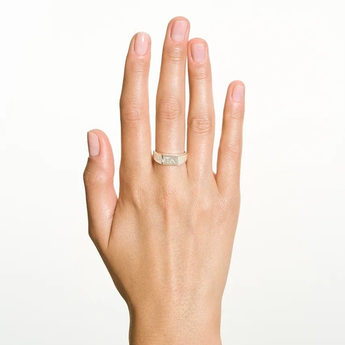 Кольцо PANTA REI