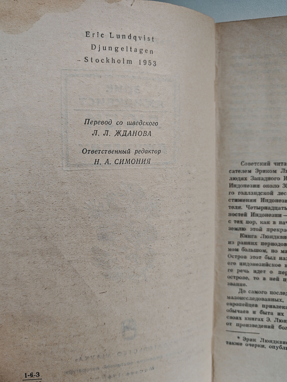 Люди в джунглях