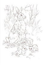 Альбом для раскрашивания полноцветный. Раскраски