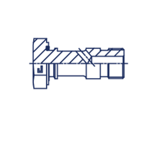 Болт BANJO BSP 1/4
