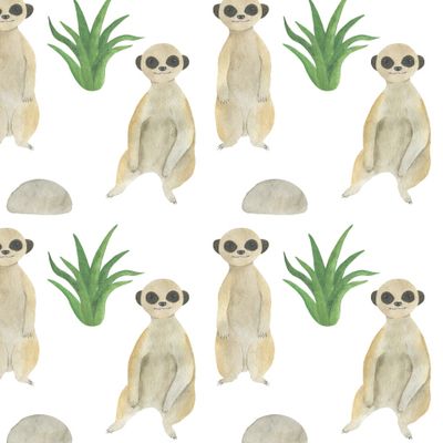 Сурикаты акварель