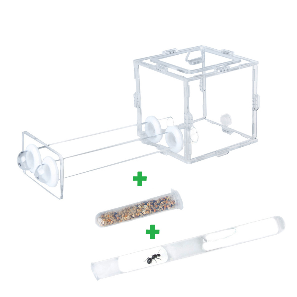 стартовый набор с Messor structor