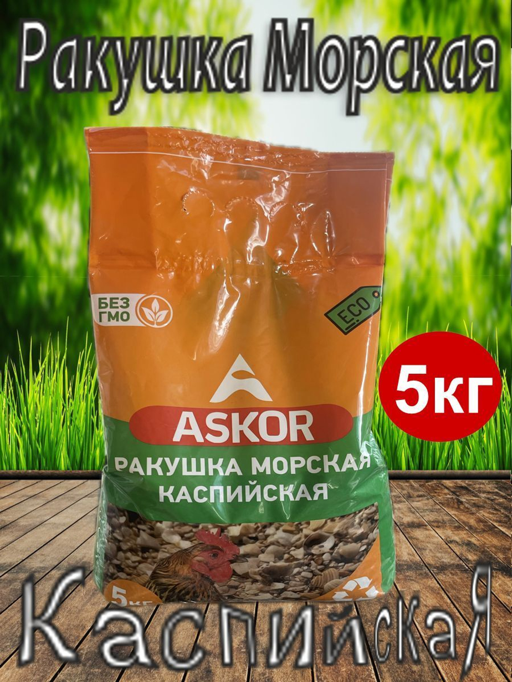 Ракушка морская кормовая для птиц
