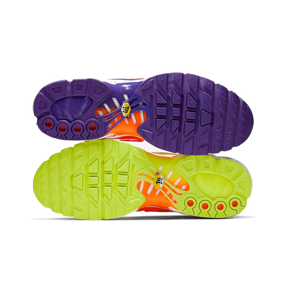 Мужские кроссовки Nike Air Max Plus 'Color Flip' CI5924-531