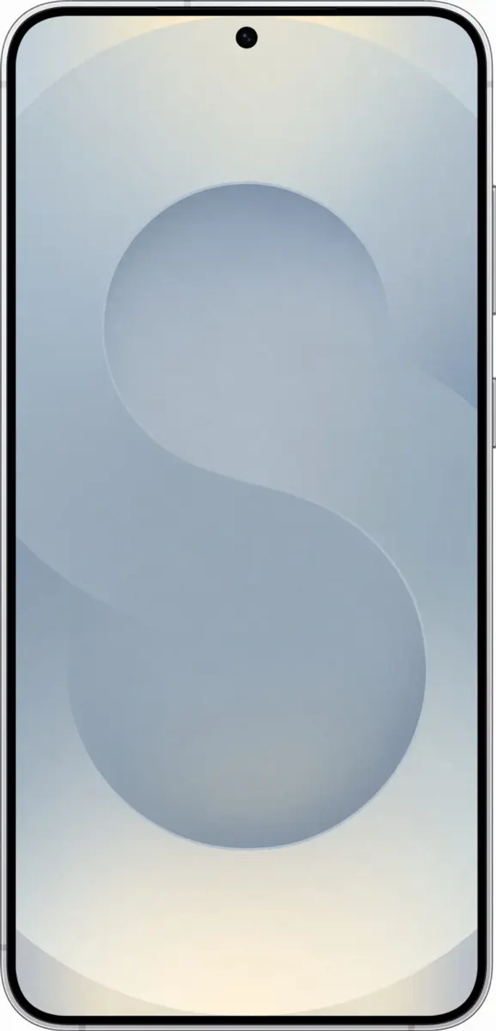 Смартфон Samsung Galaxy S25+ 5G 12/256Gb, Silver Shadow (SM-S936B)