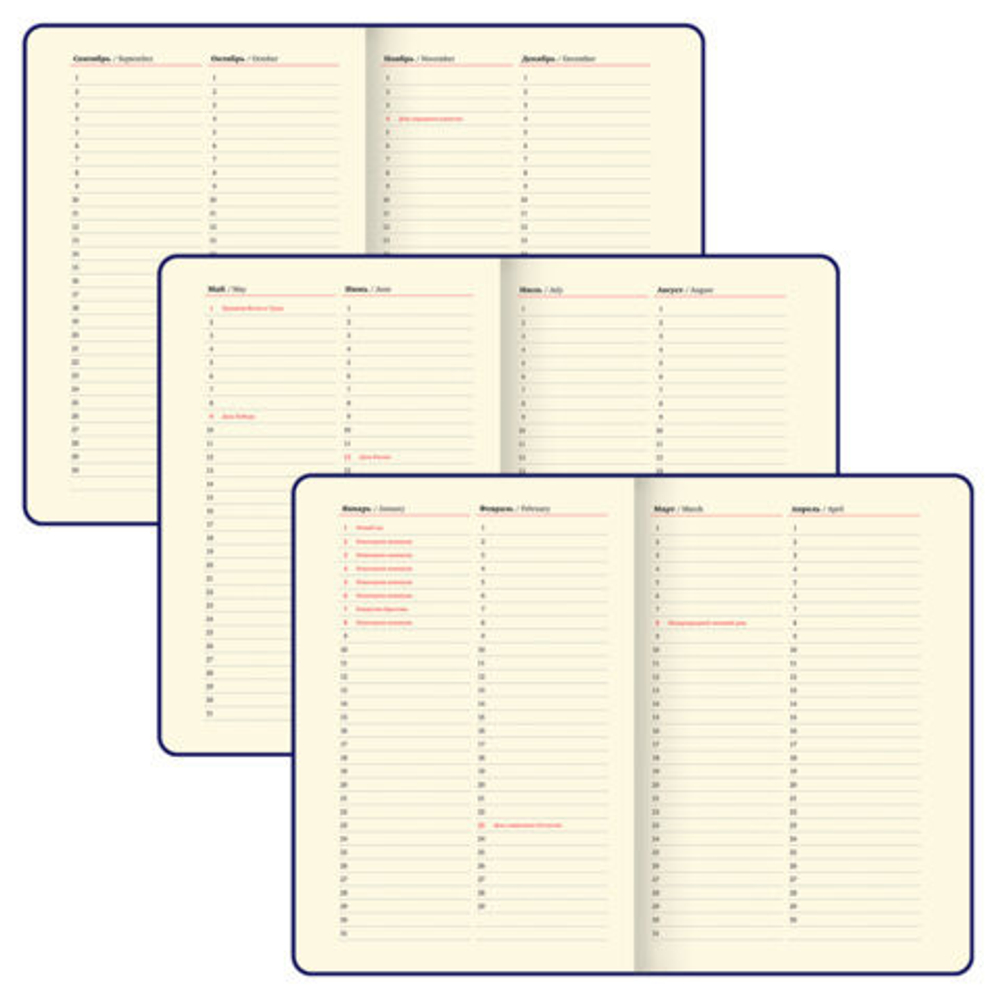 Ежедневник недатированный А5 160 л. БРАУБЕРГ Вилд черный (116233)