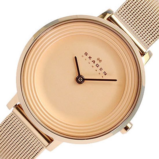 Женские часы Skagen SKW2213