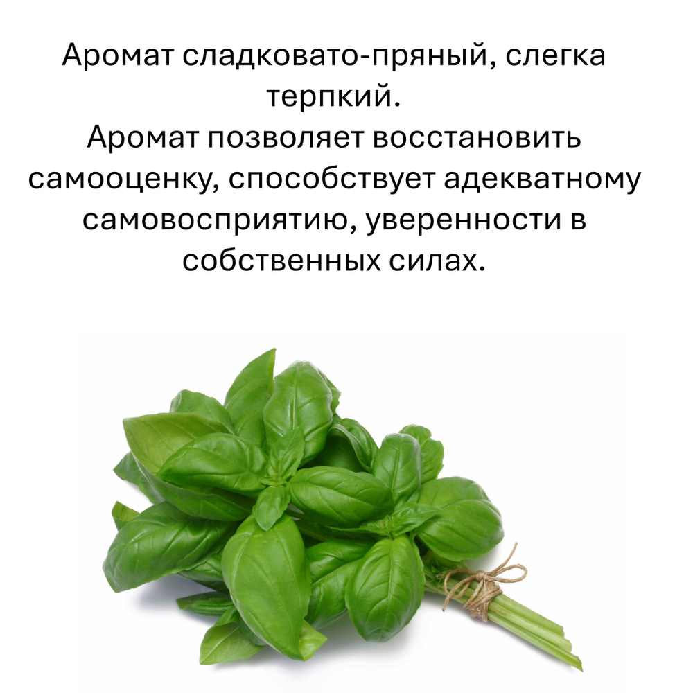 Базилик, кубики восковые для ароматизации, 10 штук