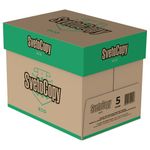 Бумага офисная А4, 80 г/м2, 500 л., ECO, белизна 60%, Sylvamo