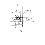 Заглушка V BSP 1/4"