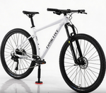 Велосипед 29" TIMETRY TT255 ск.10 белый