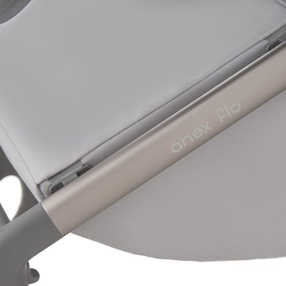 Коляска 2 в 1 ANEX Flo Frossy