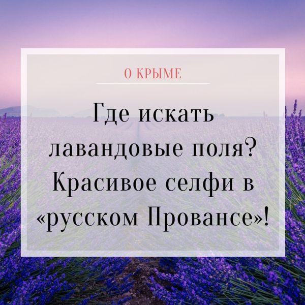 Где искать лавандовые поля в Крыму?