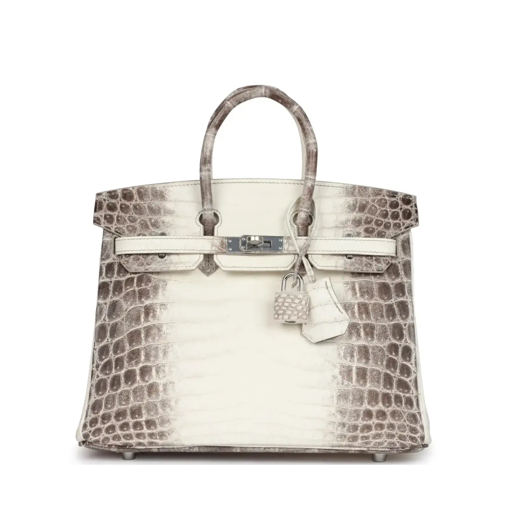 Сумка из коллекции Y с палладиевой фурнитурой Hermès Birkin