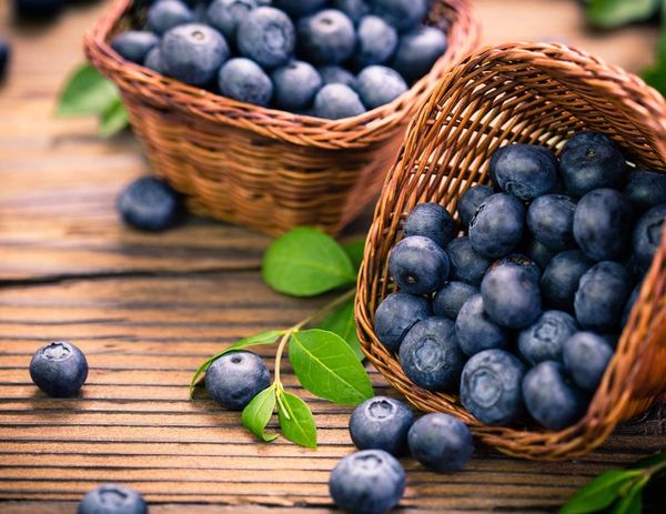 Черная, сладкая, целебная – черника и сахарный диабет