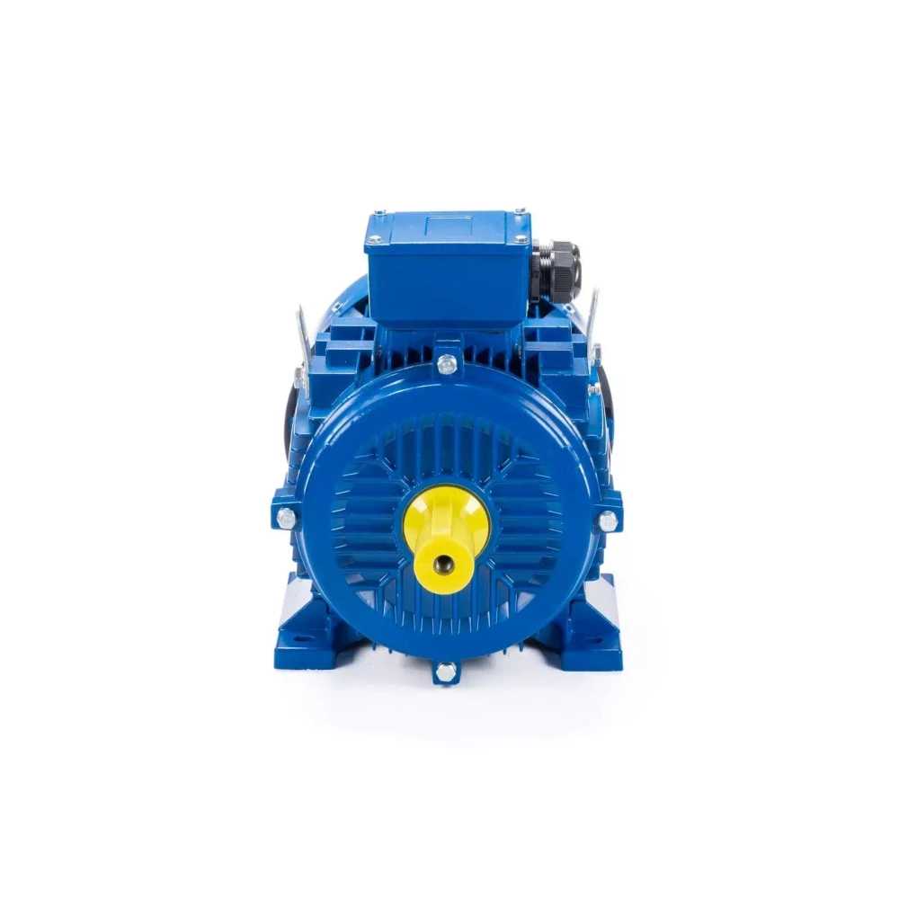 Электродвигатель ESQ 315 LB4-SDN- 200/1500 IMB3