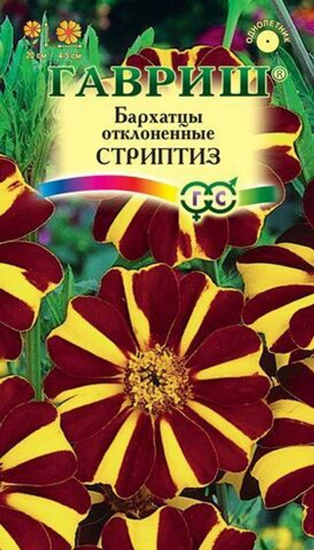 Бархатцы Стриптиз отклоненные (тагетес) 0,3 гр. Гавриш