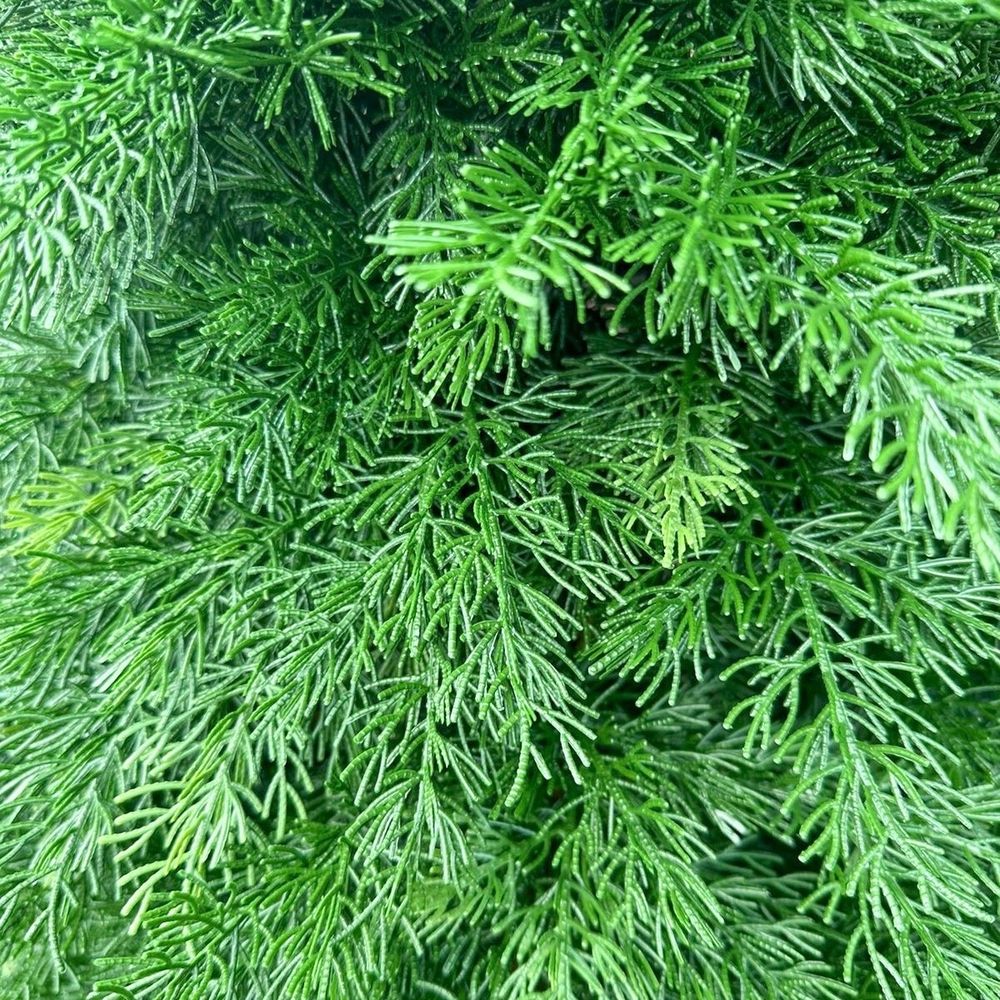 Искусственная Туя 3 шара на ножке (Литая хвоя) 210 см