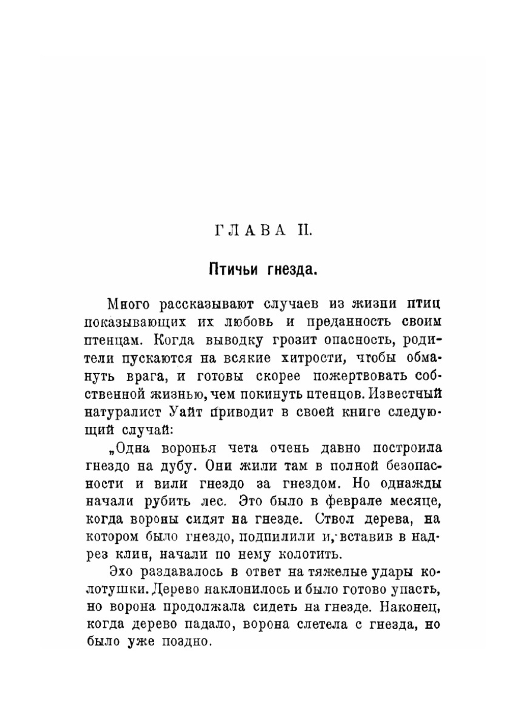 Жизнь птиц | Н. Каринцев