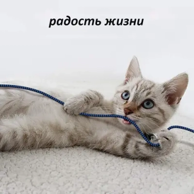 Кабель удлинитель USB 3.0 Aioneus (3метрa)/ для мобильный телефон, PS3, PS4, клавиатура, принтер, компьютер, телевизор