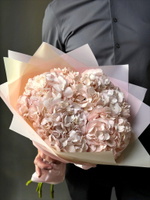 Букет гортензий (Колумбия)