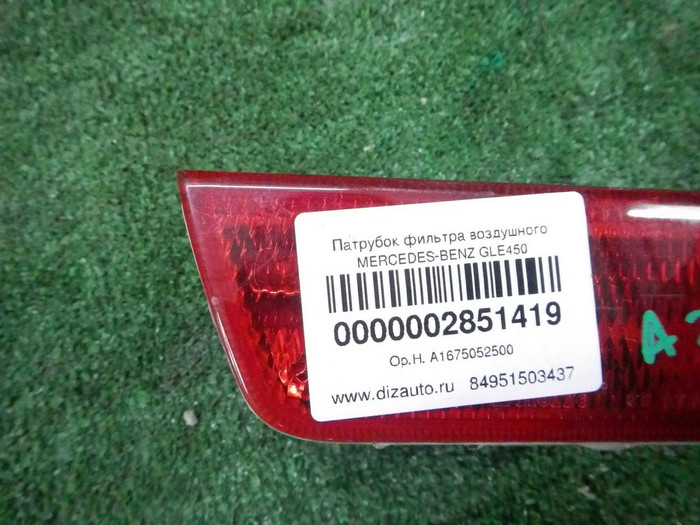 DSCN9844.JPG