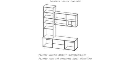 Секция ТВ Милан-1