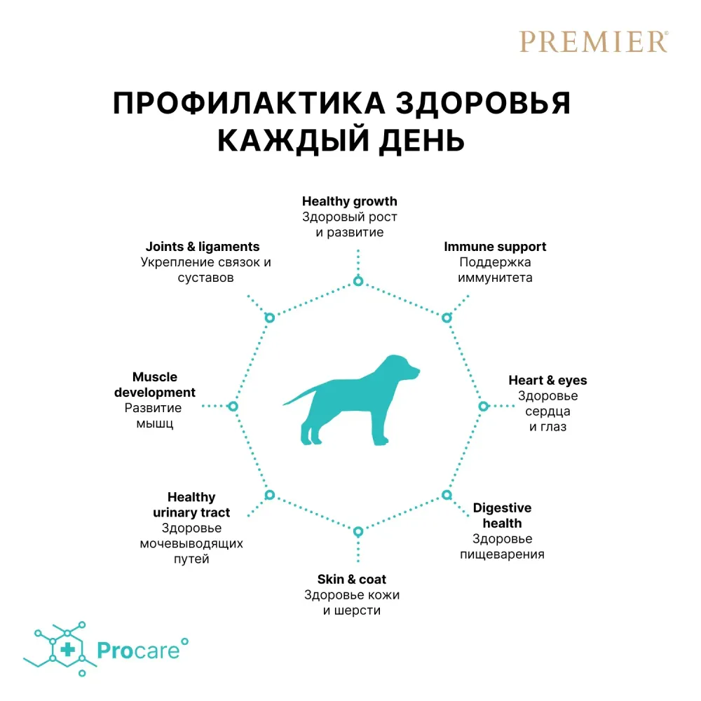 Уценка! Срок 15.07.26/ Сухой корм Premier Dog Turkey Junior Medium&Maxi для юниоров средних и крупных пород из свежего мяса индейки