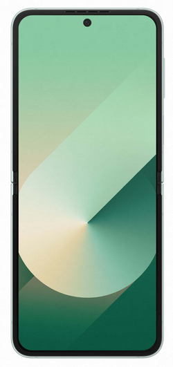 Samsung Galaxy Z Flip 6 12/512GB Mint