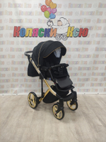 Коляска модульная Adamex Chantal SE C1