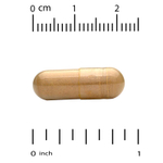 California Gold Nutrition, силимариновый комплекс с экстрактом расторопши, одуванчиком, артишоком, имбирём и BioPerine, 360 растительных капсул
