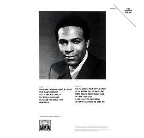 Marvin Gaye / M.P.G. (LP)