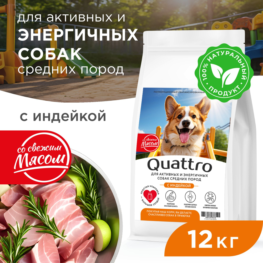 Корм сухой для взрослых собак средних пород, премиум полнорационный комплекс, для активных и энергичных, с индейкой, 12 кг, QUATTRO