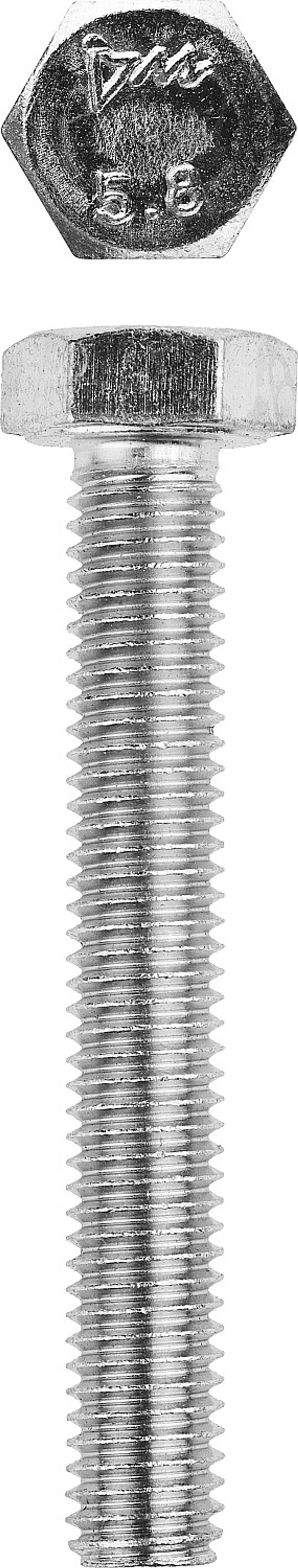 ЗУБР ГОСТ 7798-70, кл. пр. 5.8, M10 х 30 мм, цинк, 5 кг, болт (303080-10-030)