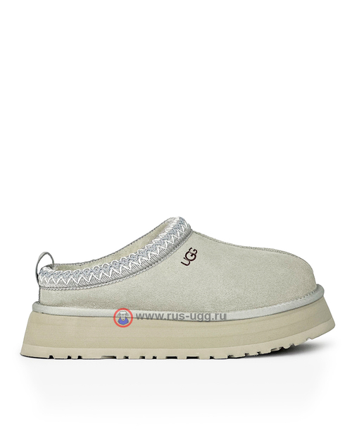TAZZ Grey/Violet