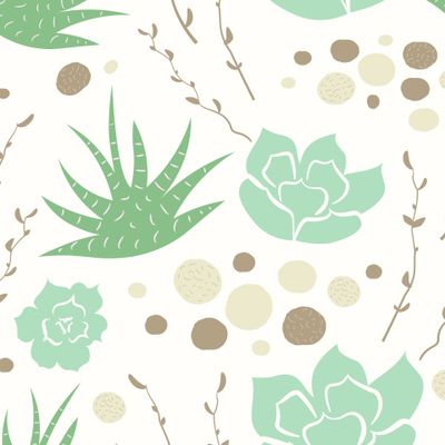 Светлый с суккулентами