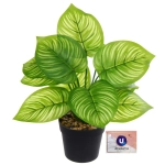 Цветок искусственный в горшке «Калатея» 26см