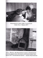 Внутриматочная искусственная инсеминация. Донорство спермы. Методические рекомендации