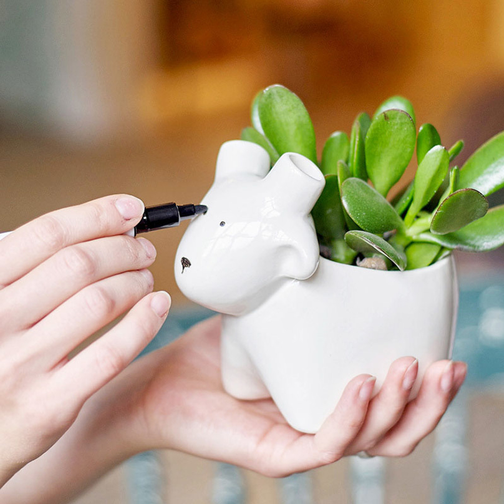 Набор для выращивания eco Овечка