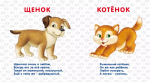 Книжки - картонки. Домашние животные