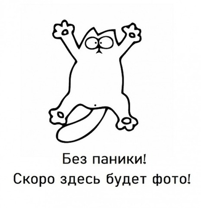 Дверь-купе ARISTO FLAT, зеркало, профиль шампань матовая