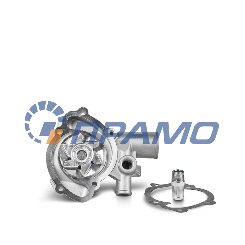 4062-3906629-10-P (ПРАМО) Помпа